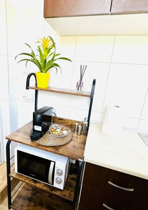 Cozy 1Br Apartment•Central•Quiet ブカレスト エクステリア 写真